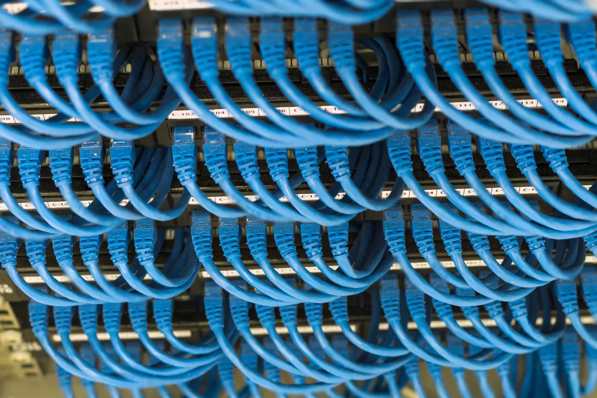 Neatly bundled blue Ethernet patch cords looping into a labeled patch panel